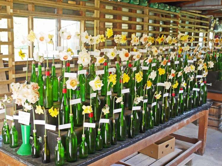 66 Brophy Road Geraldine_12