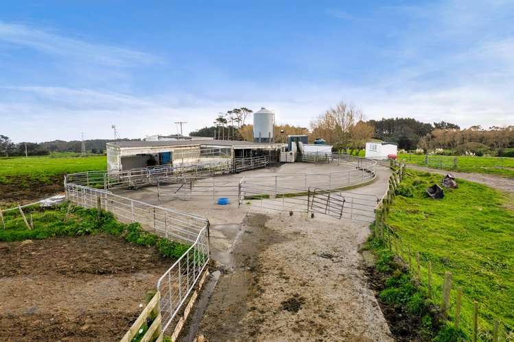 294 Kiri Road Te Kiri_18