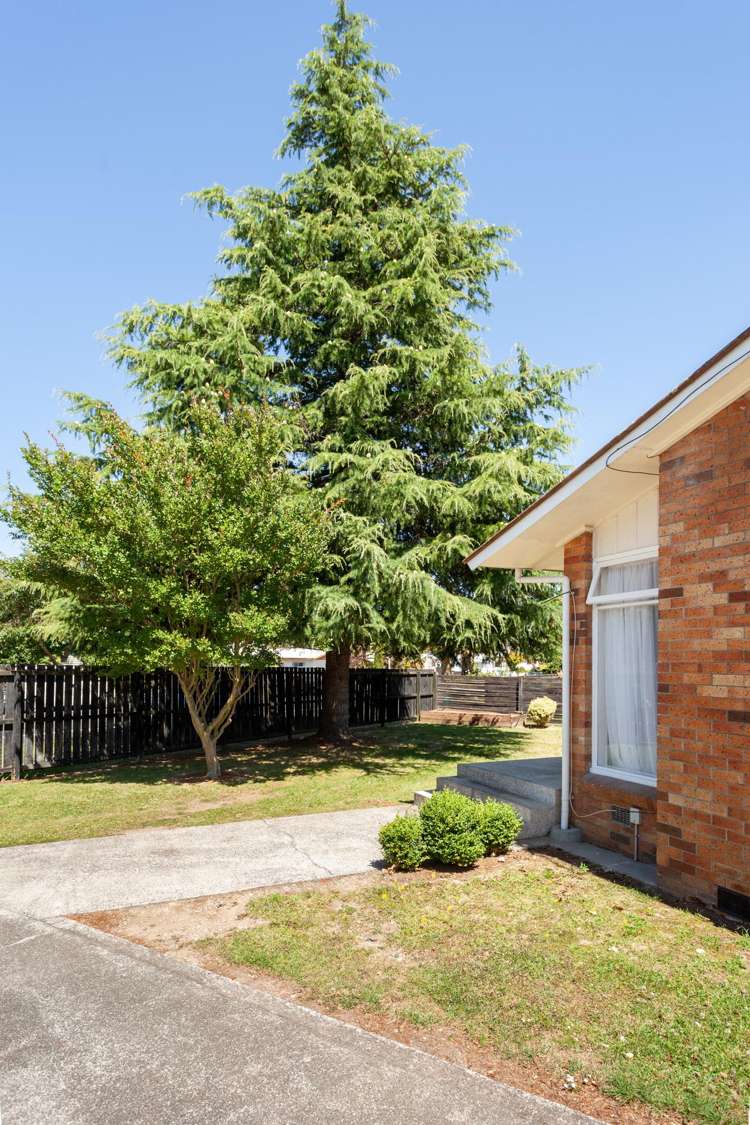 98 Rawhiti Avenue Matamata_24