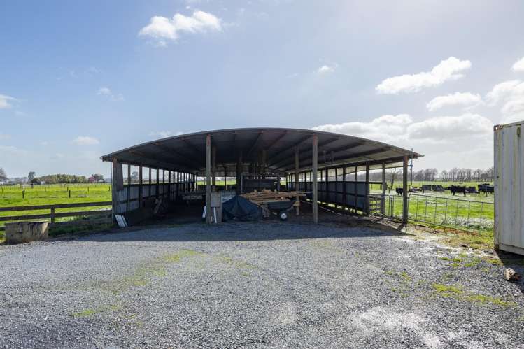 284 Shewan Road Gordonton_3