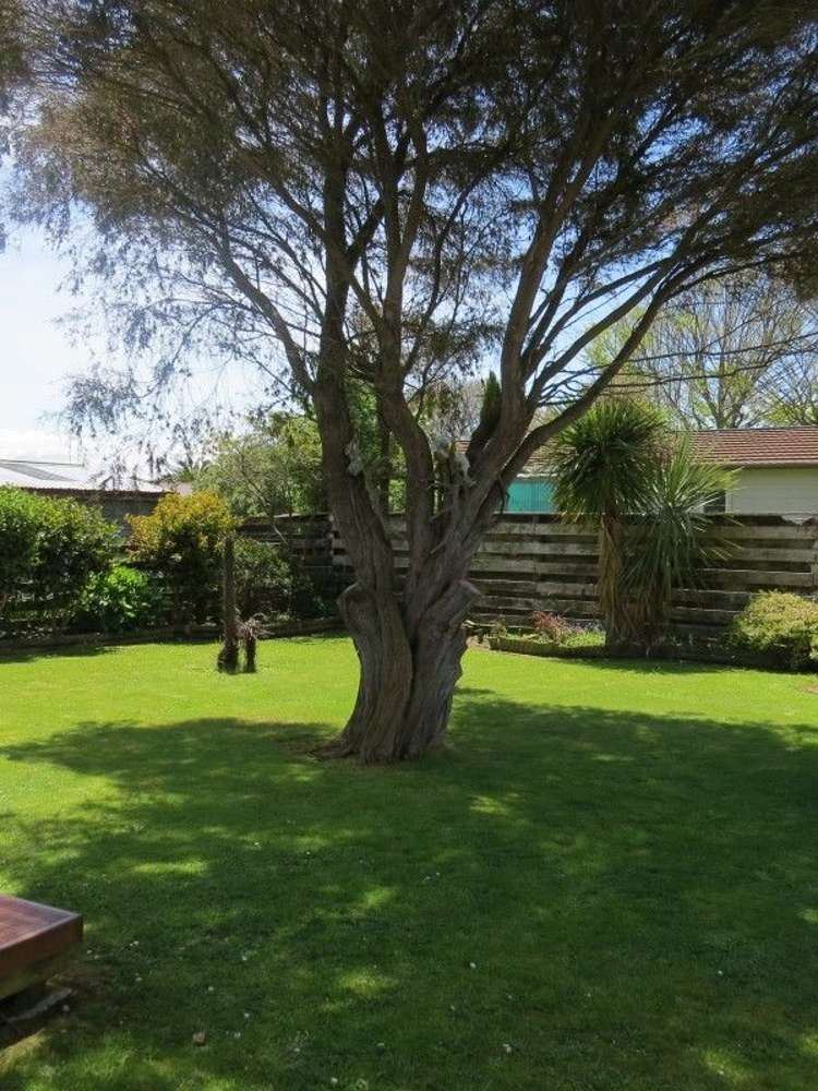 19 George Street Pahiatua_17