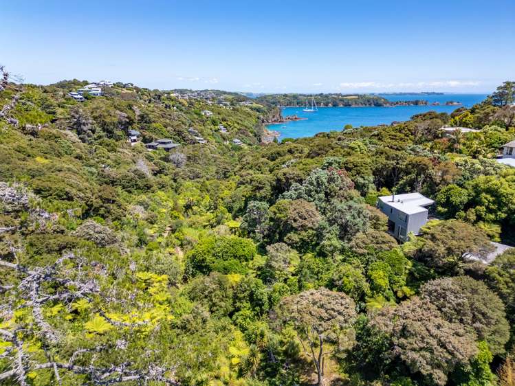 39 Te Aroha Avenue_2