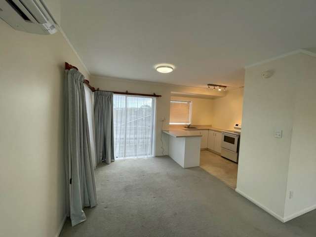 8/453 Richardson Road Mount Roskill_3