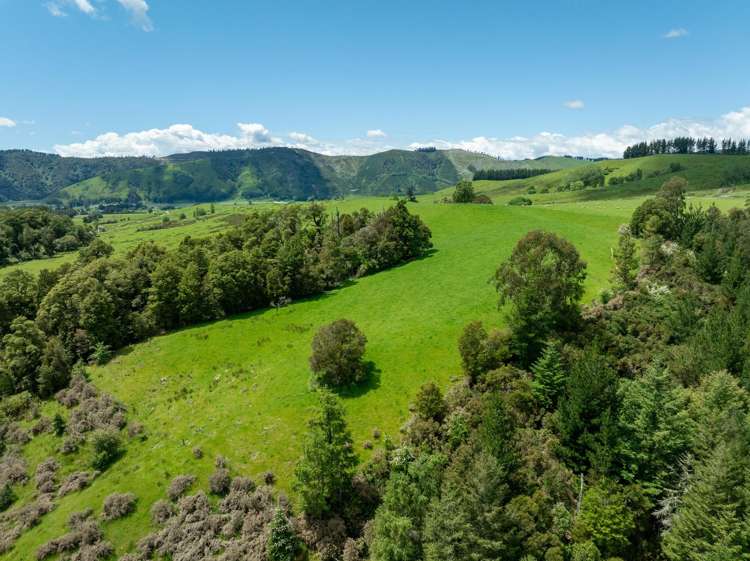 281 Tadmor Valley Road Tapawera_36