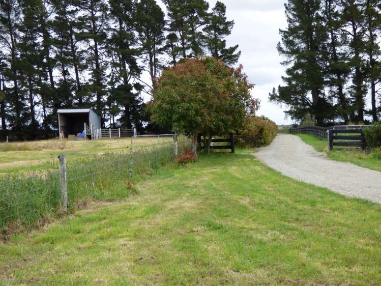 924 Telegraph Road Darfield_2