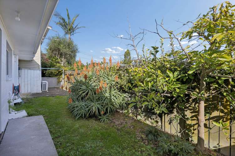 11B Hope Street Grey Lynn_2