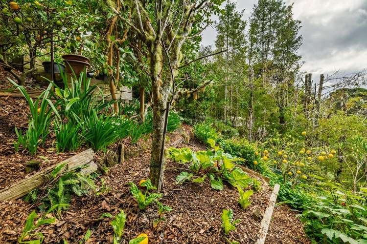 53 Te Haumi Drive Paihia_34
