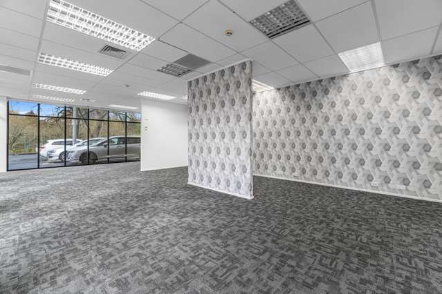 150 Grantham Street Hamilton Central_2