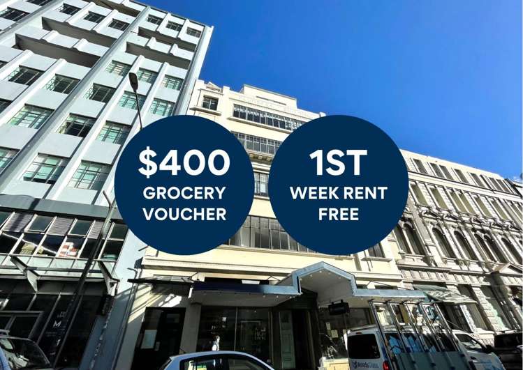 1b/124 Wakefield Street Te Aro_0