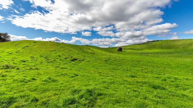 206E State Highway 30 Tikitere_2