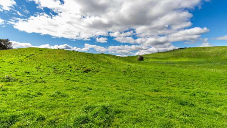 206E State Highway 30 Tikitere_2