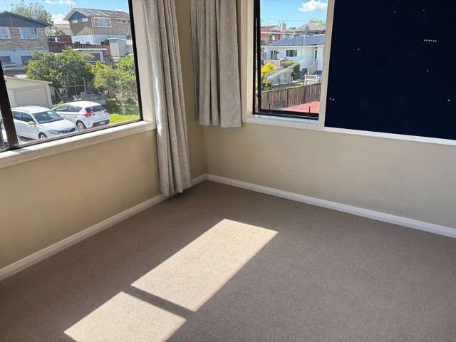 25A Cobham Drive Morrinsville_4