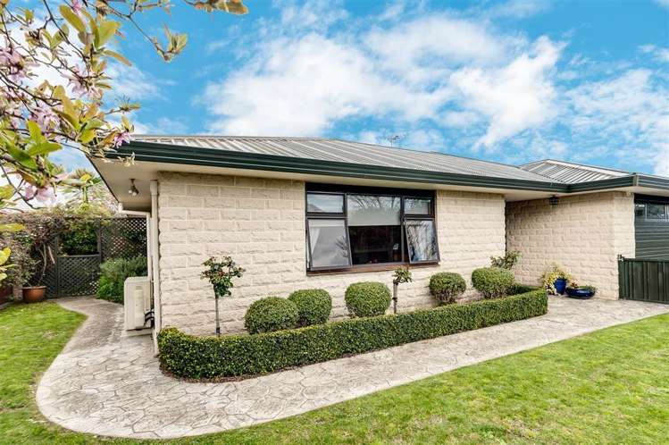 151 Auckland Road Greenmeadows_3