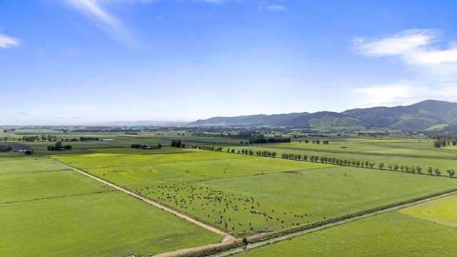 145 Campbells Road Opiki_2