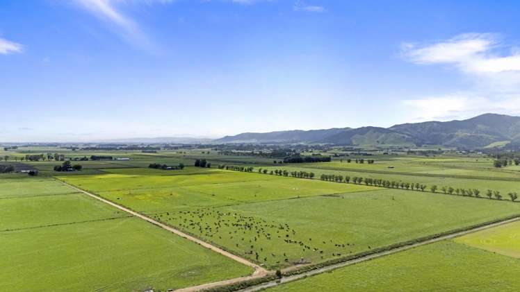 145 Campbells Road Opiki_2