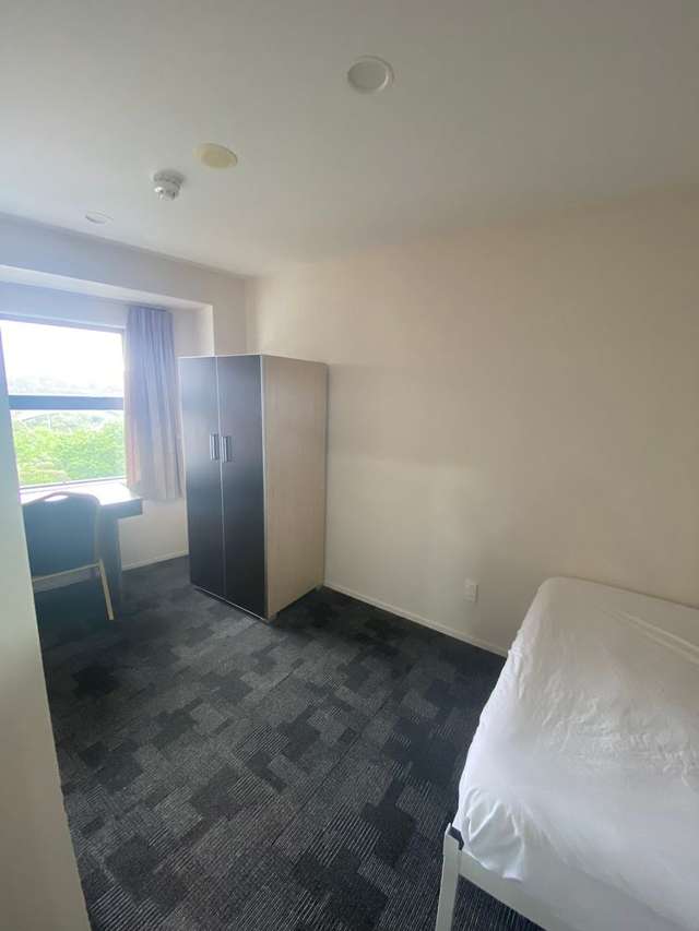 21 Whitaker Place Grafton_4