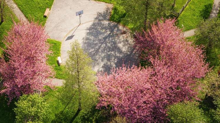 9 Innes Place Arrowtown_34