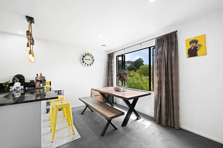 5B Opoia Road 1074_5