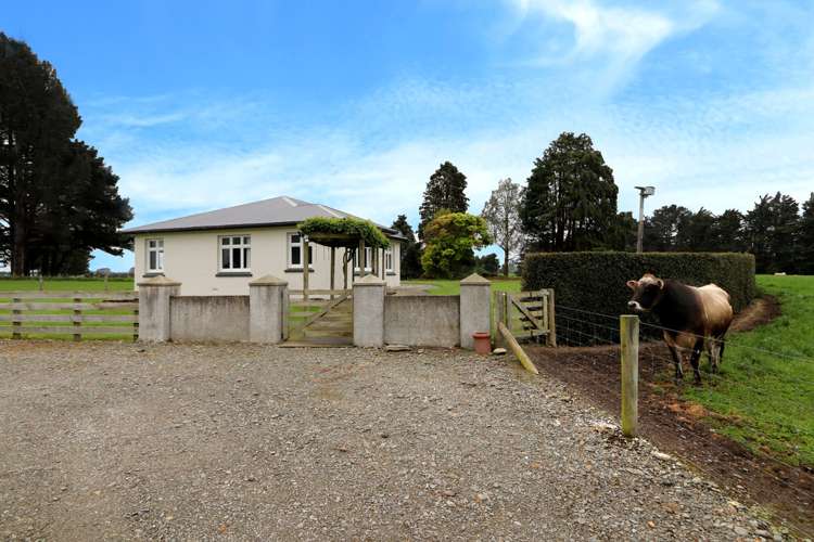 496 Flora East Makarewa_19