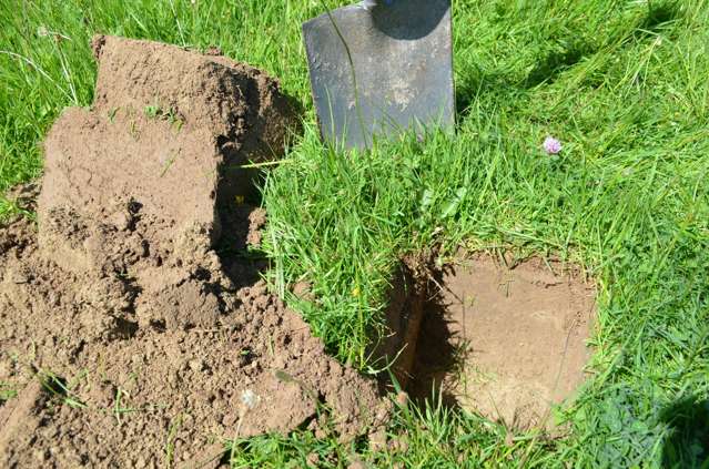 23 Haswell Street Eketahuna_4