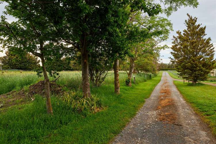 146 Postmans Road Kaikoura_53