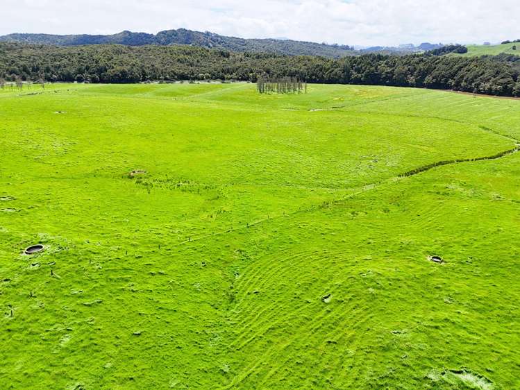 Lot 3 Pukehuia Road Arapohue_10