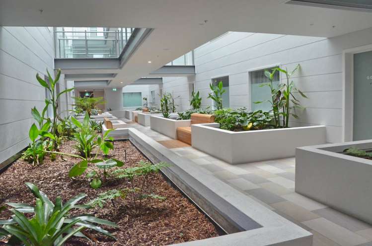 306/27 Enfield Street Mount Eden_12