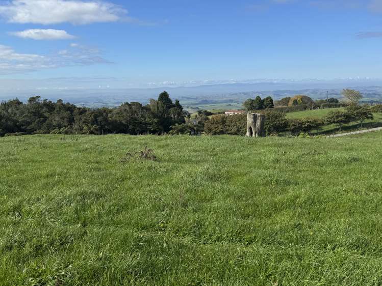 Lot 1 Pekanui Road Rd 6 Te Awamutu_8