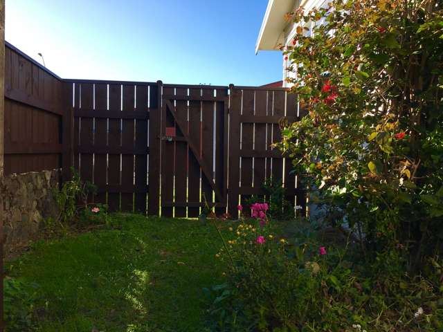 58 Udy Street Petone_1