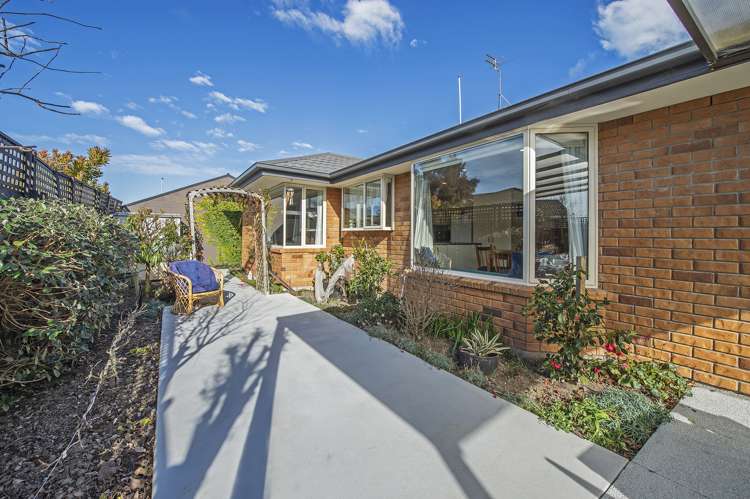 4b D'Arcy Street Leeston_15