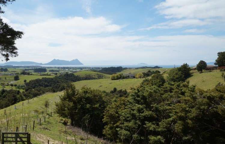 265 Prescott Road Ruakaka_4