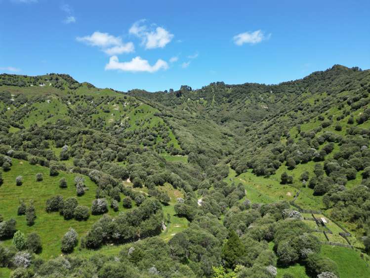 Trussells Track, Tawata Road Taumarunui_14