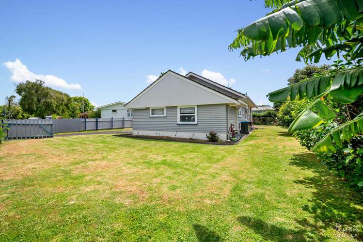 16 Meliora Place Avondale_1