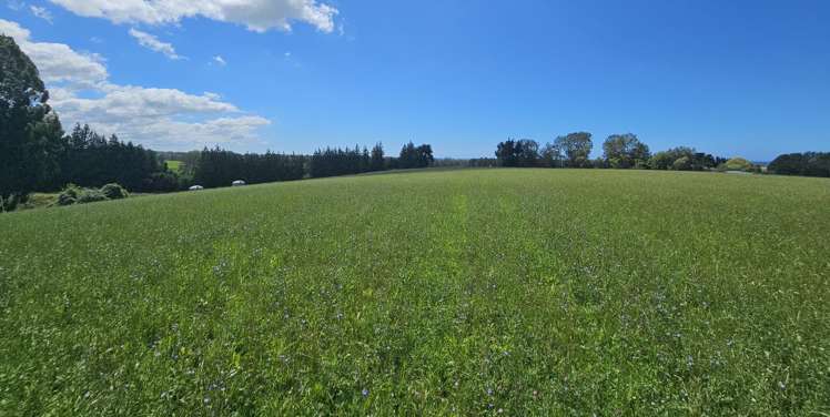 Lot 1 Brownleas Road Waimate_6
