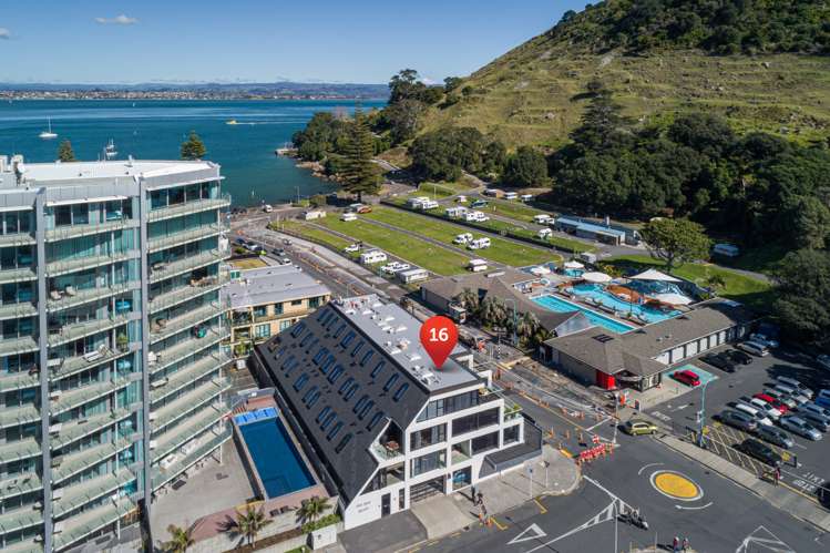 202/16 Adams Avenue Mount Maunganui_4
