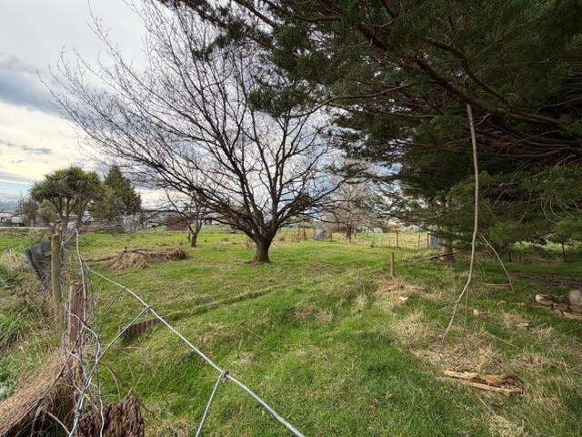68 Birchwood Road Ohai_2