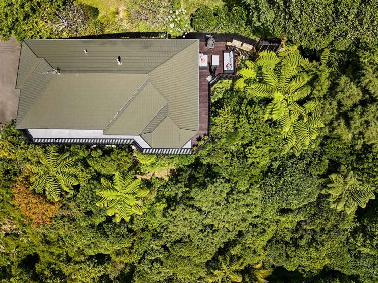 19 Palm Grove Belmont_26