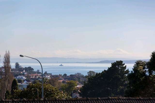 301a Kohimarama Road Saint Heliers_3