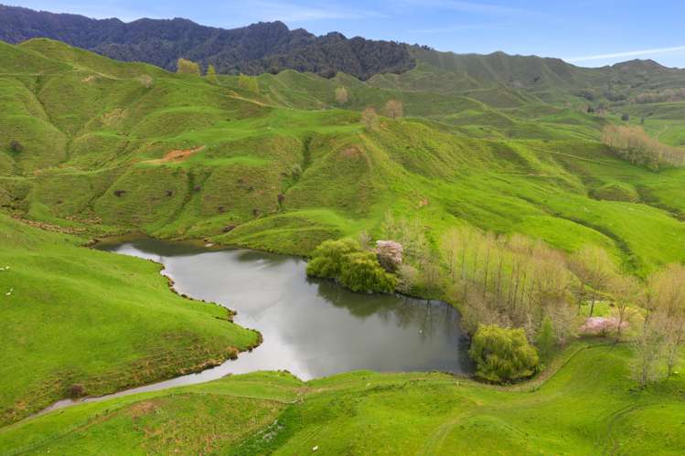 486 Ngatarawa Road Mahoenui_22