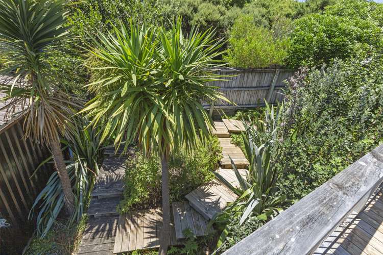 12 Park Drive Raglan_14