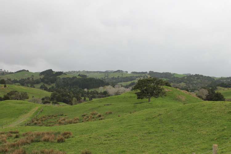 1784 State Highway 12 Paparoa_9