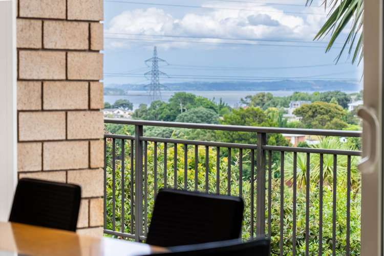 65 Frederick Street Hillsborough_19