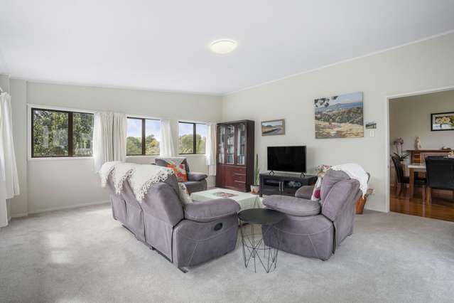 3 Dally Terrace Mount Roskill_4