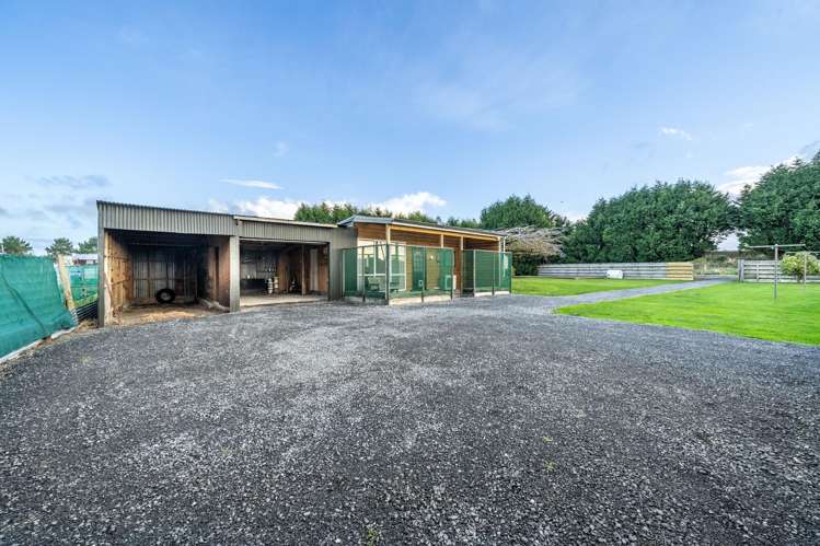 70 Princes Road Greenhills_8