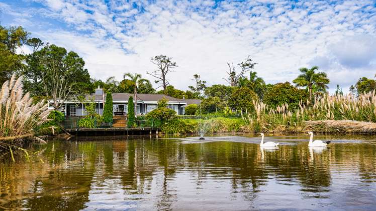 224e Bawden Road Dairy Flat_8