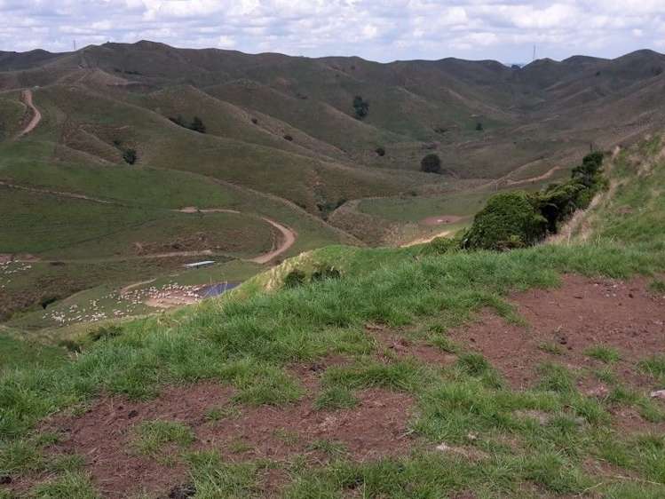 446 Stanley Road Te Popo_34