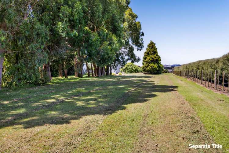 76 Wills Road Bell Block_56