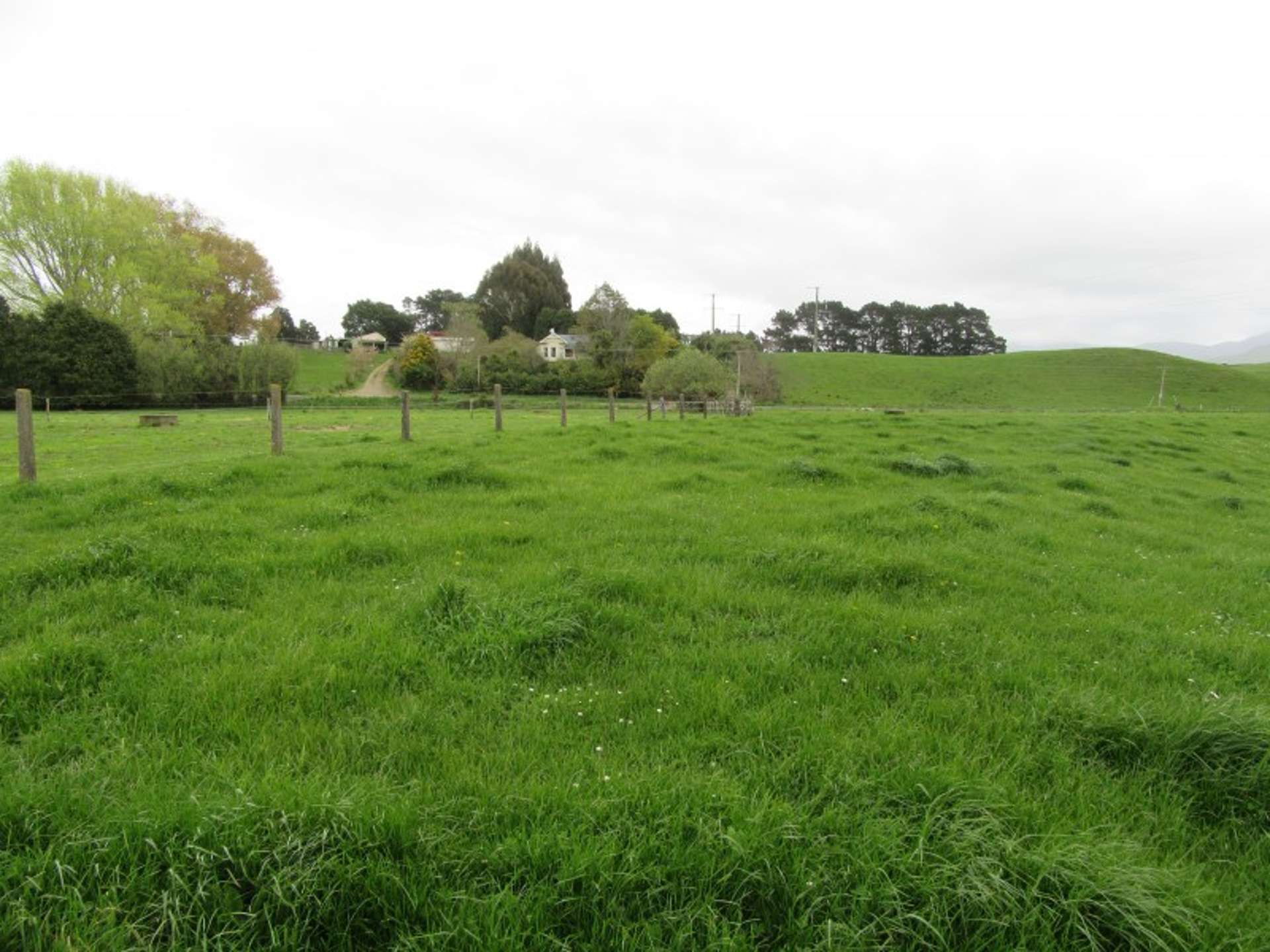 353 Tataramoa Road Rangitikei Surrounds_0