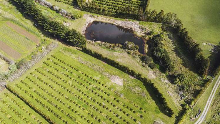 908 Te Ahu Ahu Road Waimate North_2