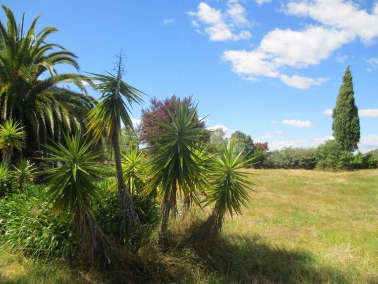 21 Domain Road Waipawa_6